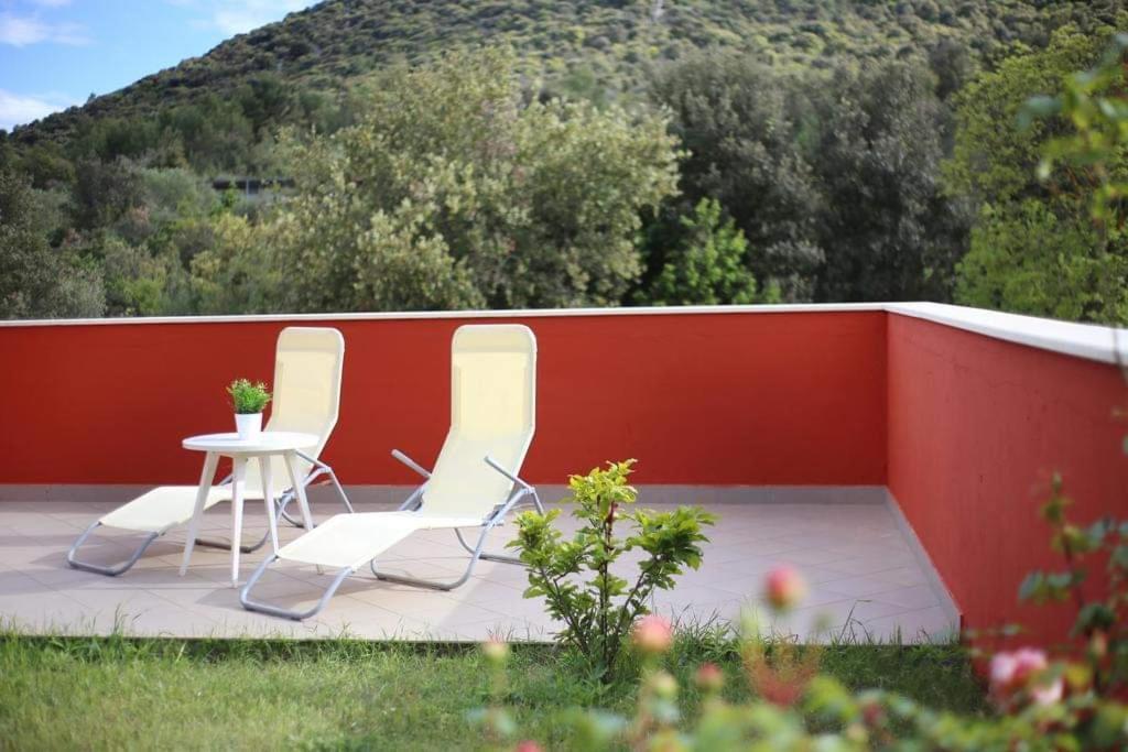 Paradise Apartment
